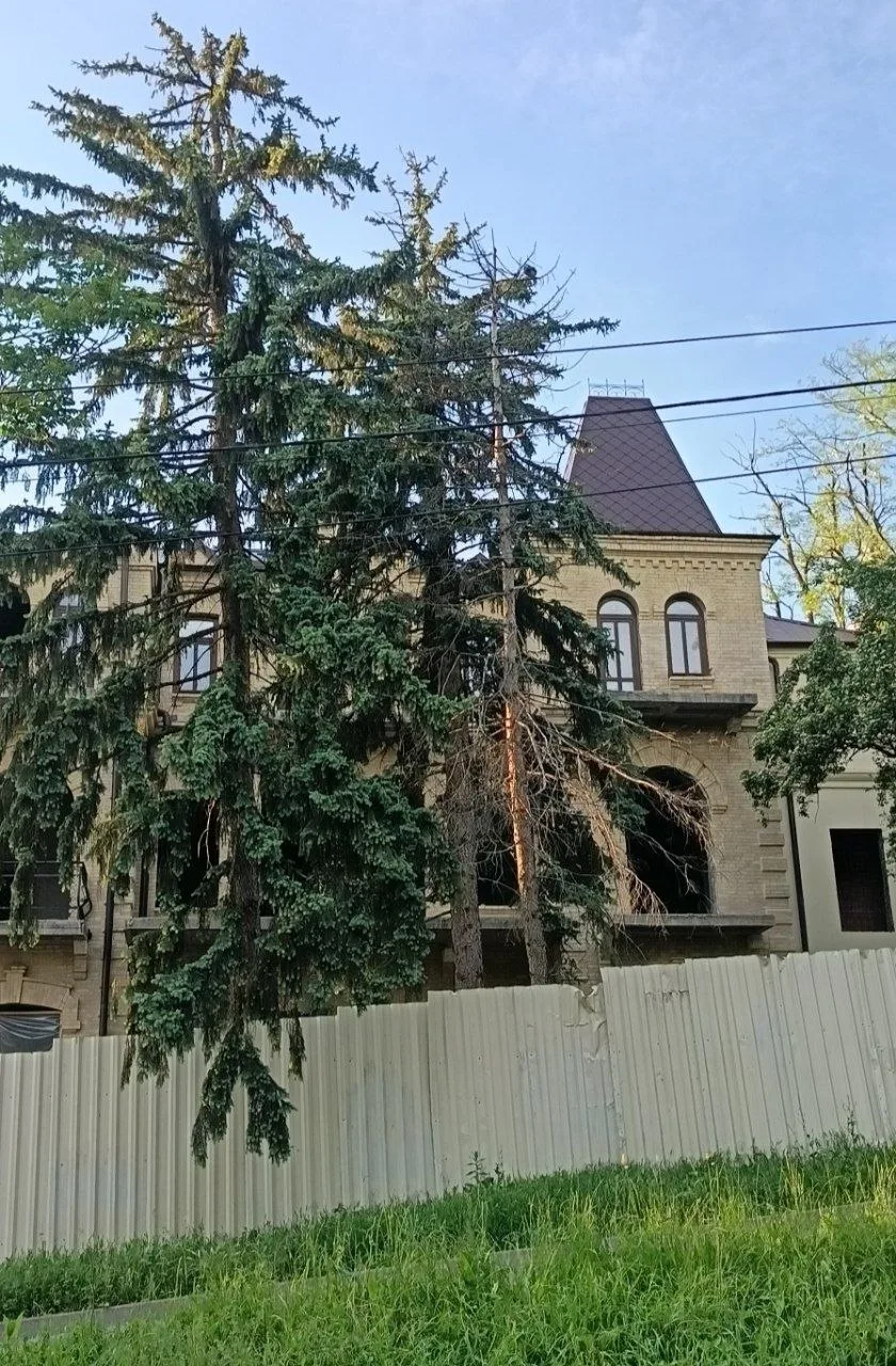 В доме Эльзы появились пластиковые окна. Уже хорошо.