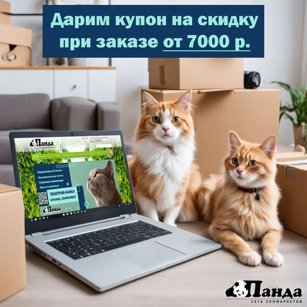 До конца акции осталось всего 2 недели. 😎

🛍️КУПОН🛍️ 
При заказе в интернет-магазине на сумму от 