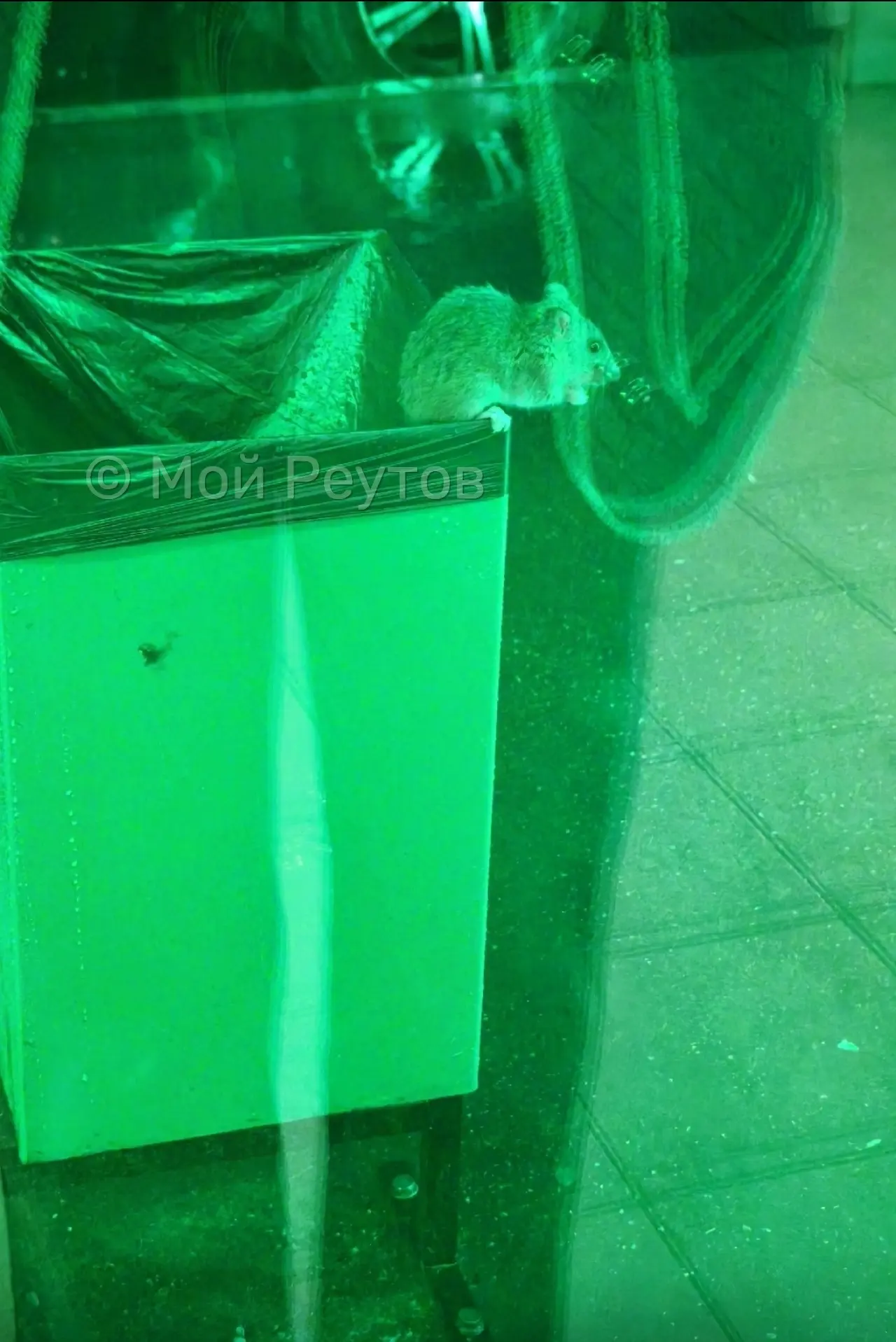 🐀 Добрый день. На Лесной 5 напротив аптеки стоит синий автомобиль около 3х лет. В этом...