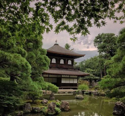 🌳 Деревья

树 [shù] — дерево
林 [lín] — лес
森 [sēn] — роща, лес
枝 [zhī] — ветка
叶 [yè] — лист
根 [gēn]