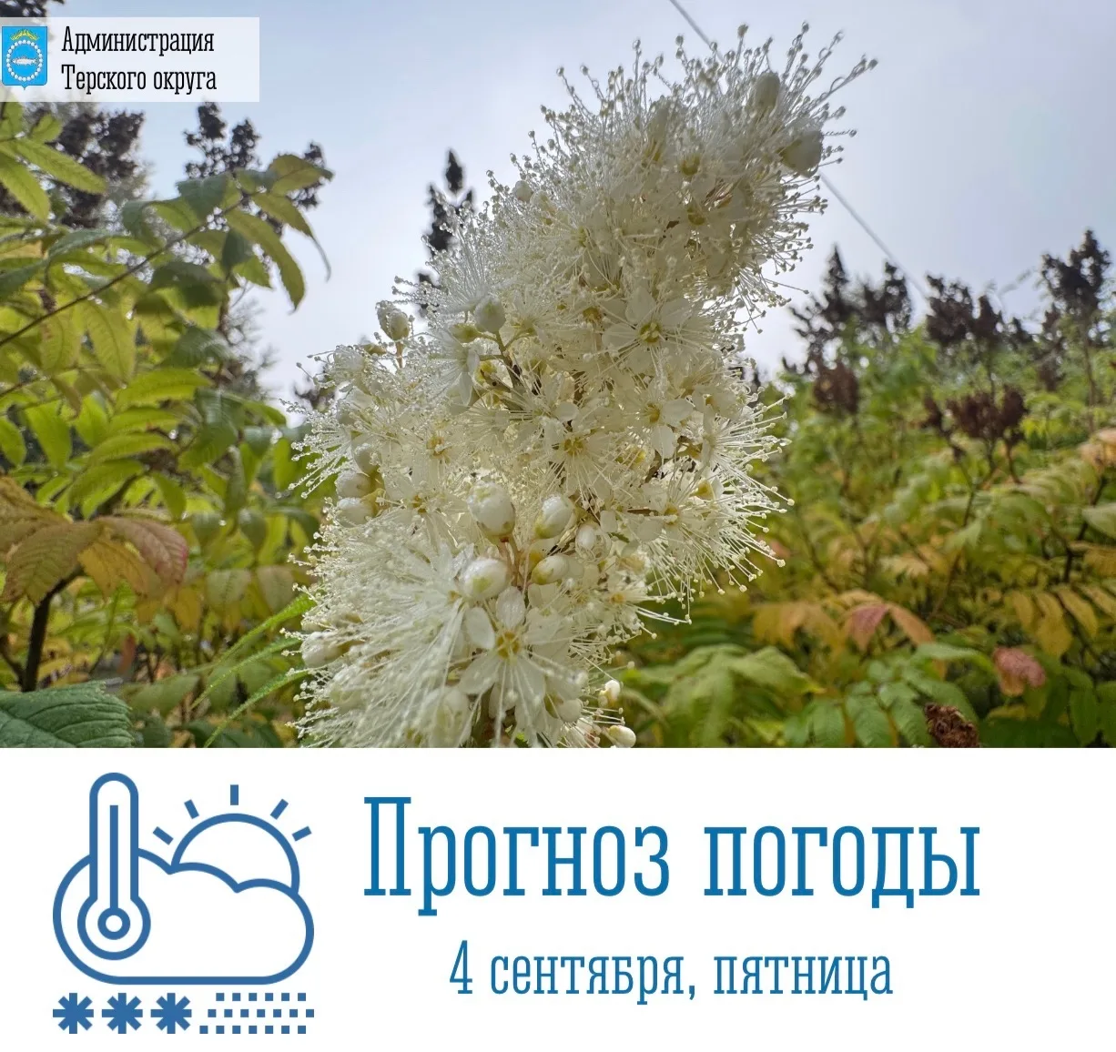 🌥 Доброе утро!