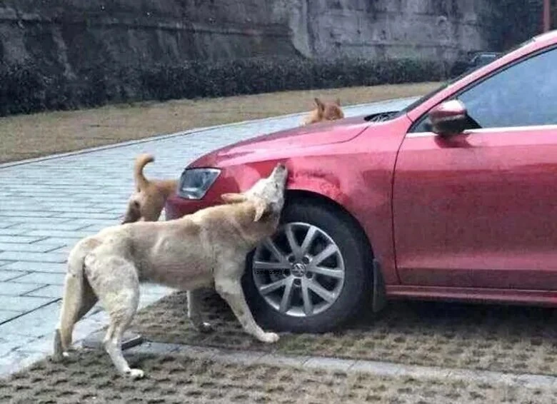 Вам точно нужно это знать!