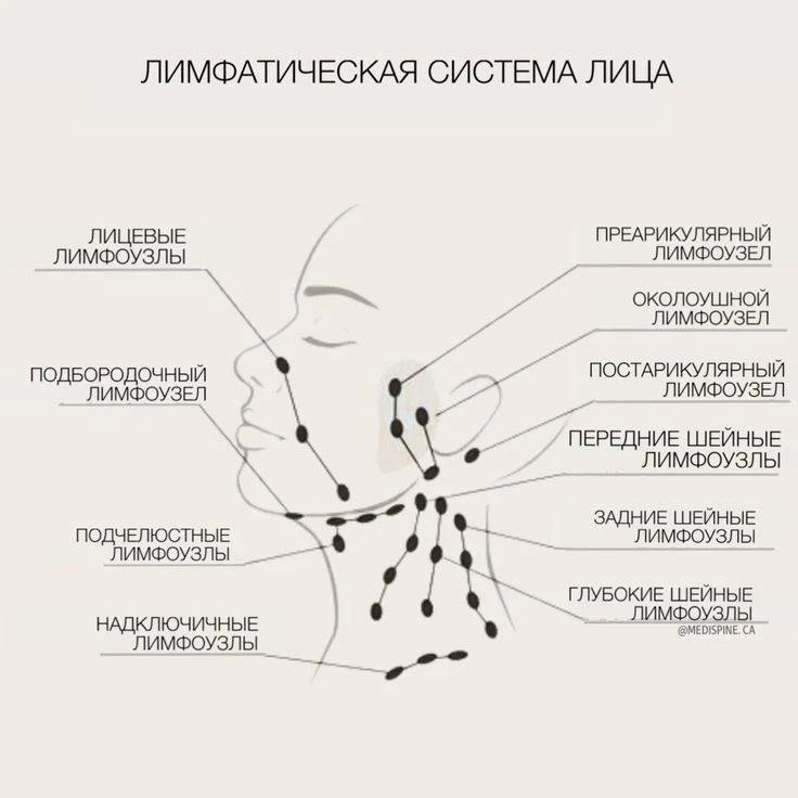 Что делать? Помогаем лимфе!