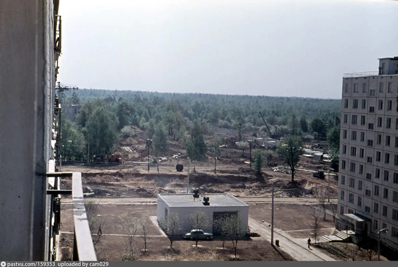 Вид на Лосиный остров