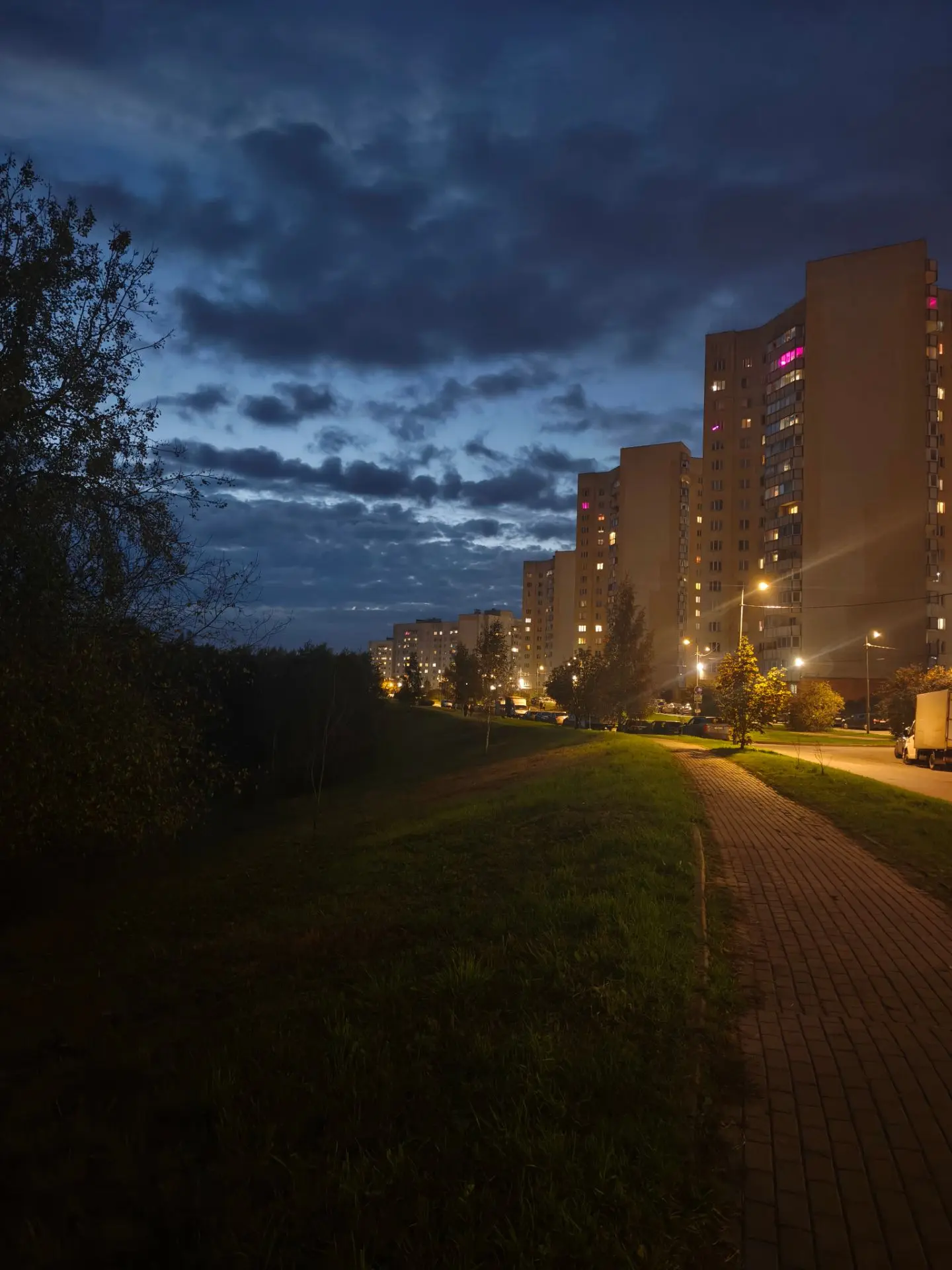 Спокойной ночи Осинка🌃
