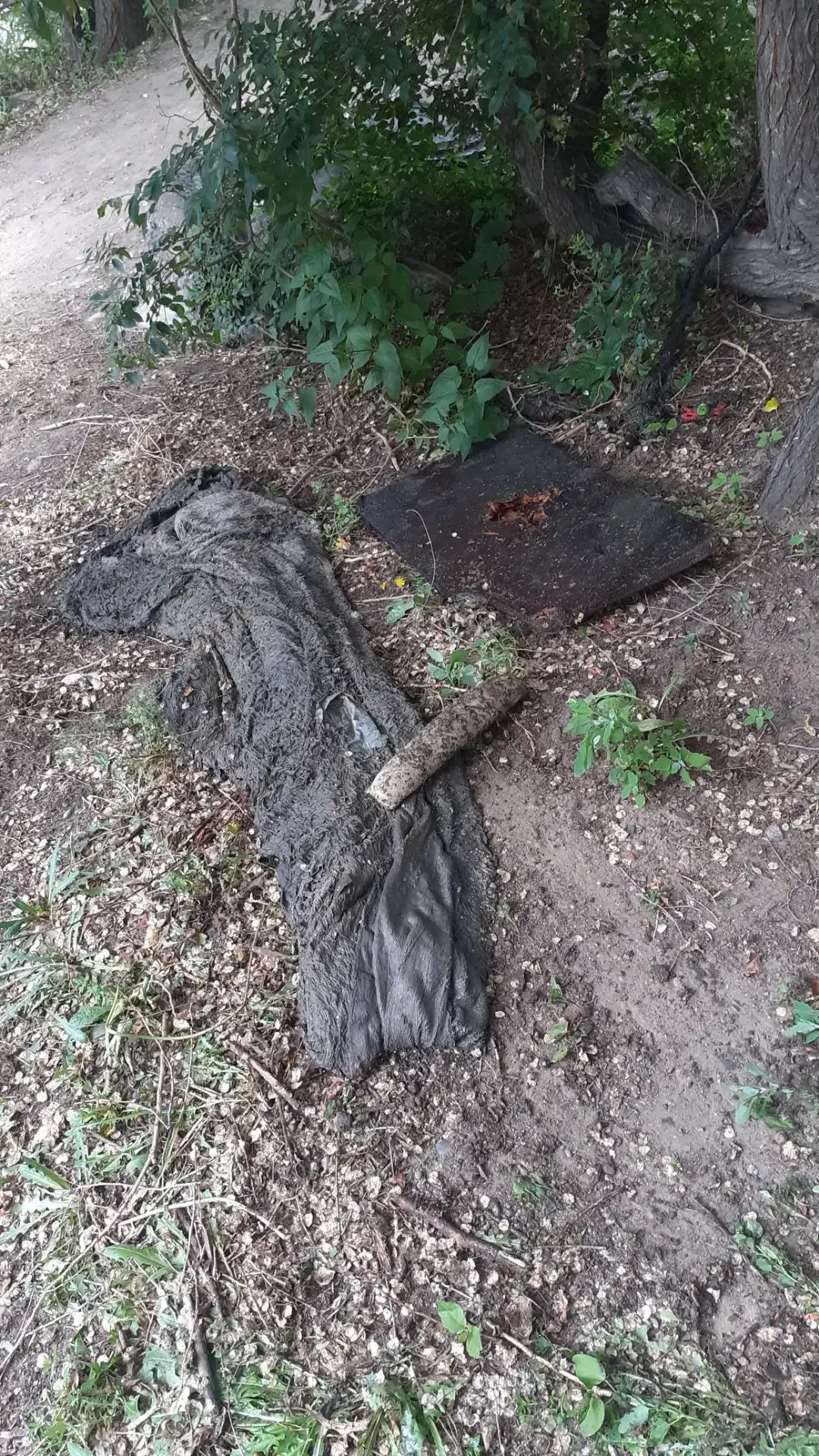 ⚠️ Стоп, стоп, стоп… Вы это серьёзно?⚠️
