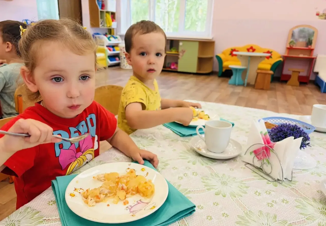 Жаркое - считается полезным блюдом в рационе детей дошкольного возраста благодаря сочетанию различны