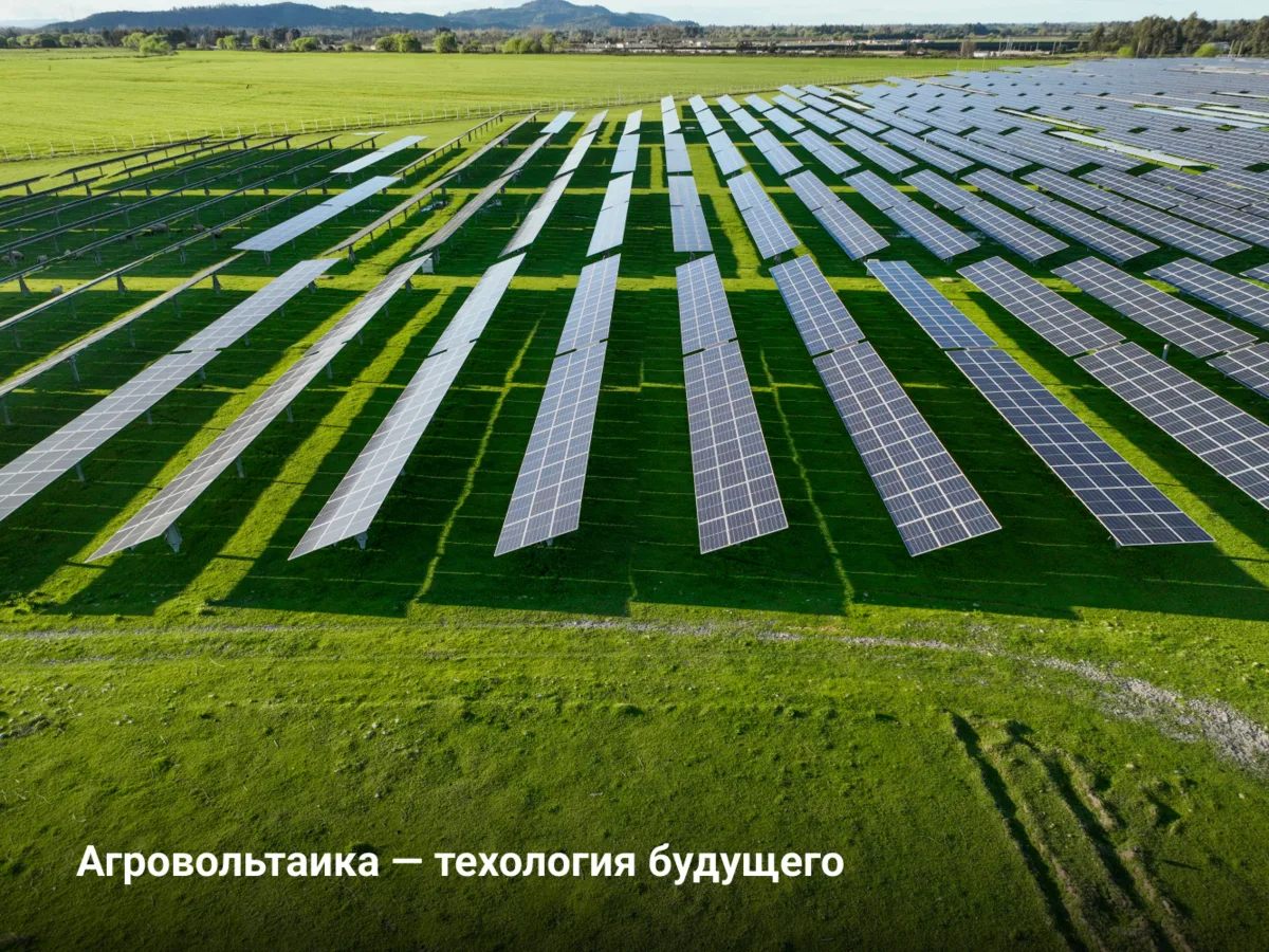 🌱⚡Агровольтаика — технология будущего

Суть инновационного направления в том, что солнечные панел