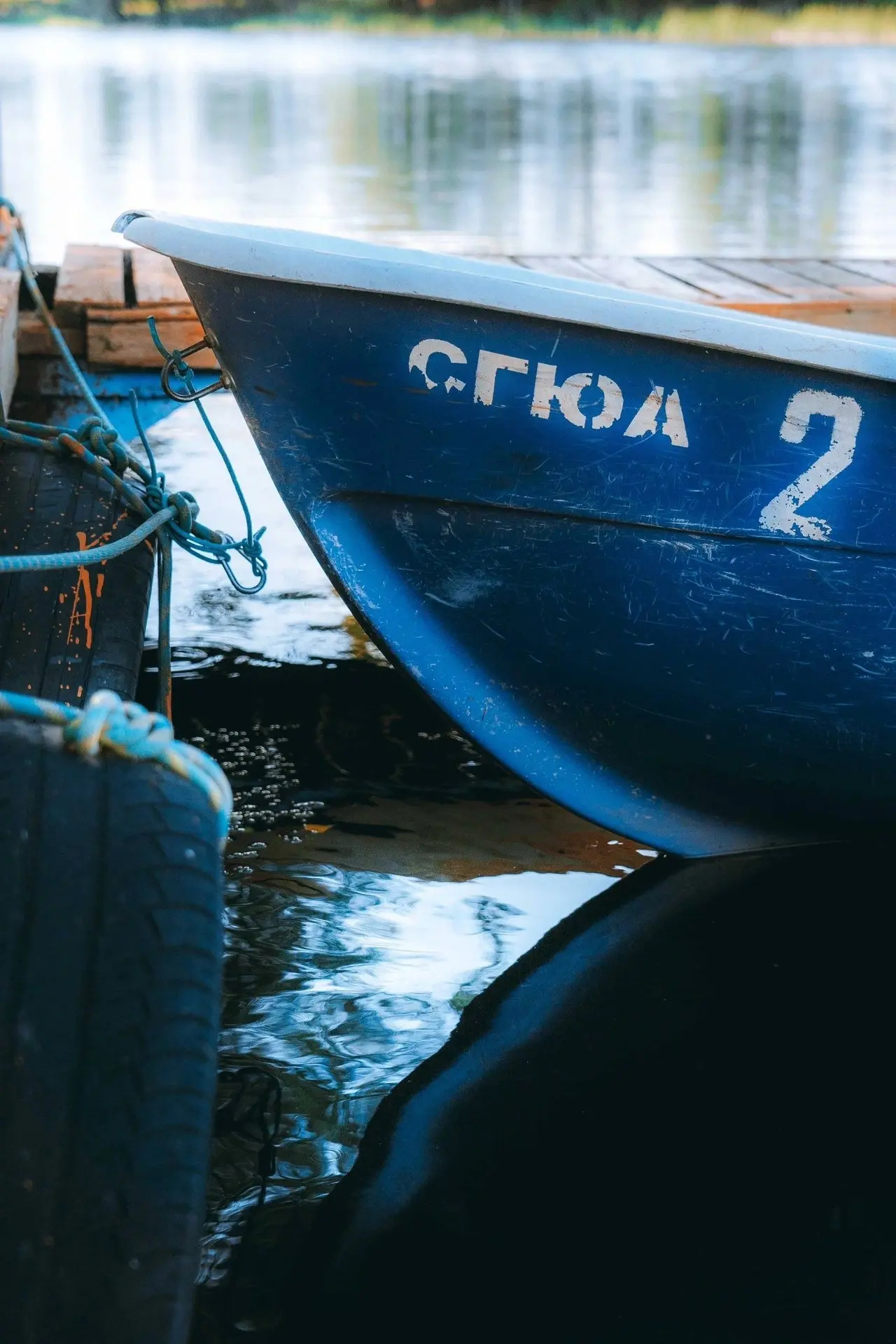 Изображение 6 к публикации «НОС: наука, образование, студенчество»