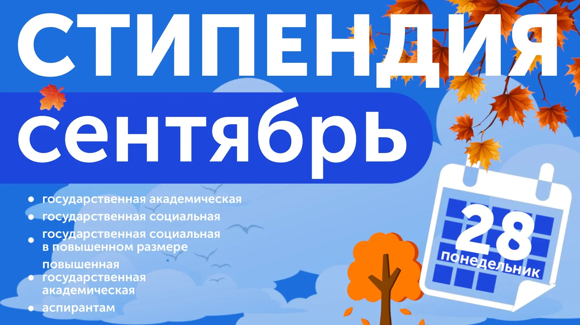 🥳 Ура! Стипендия!