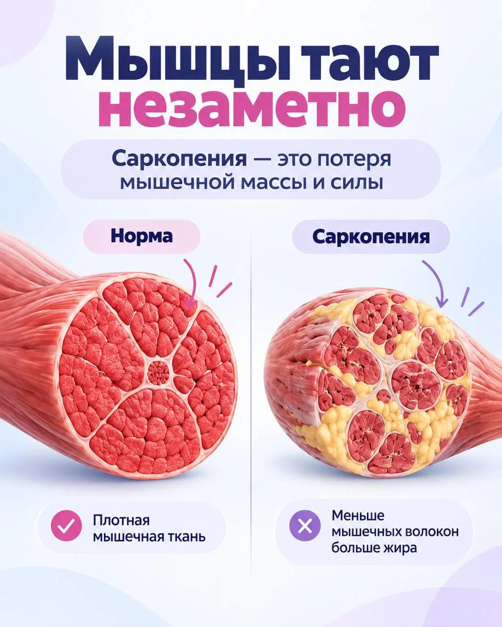 🚨 Жир видно. Потерю мышц - почти нет