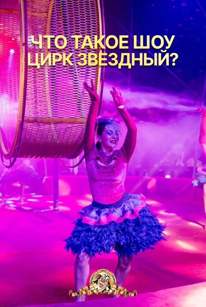 Елизово не упусти шанс попасть на экстремальное шоу цирка "Звездный" с 5 по 7 июня