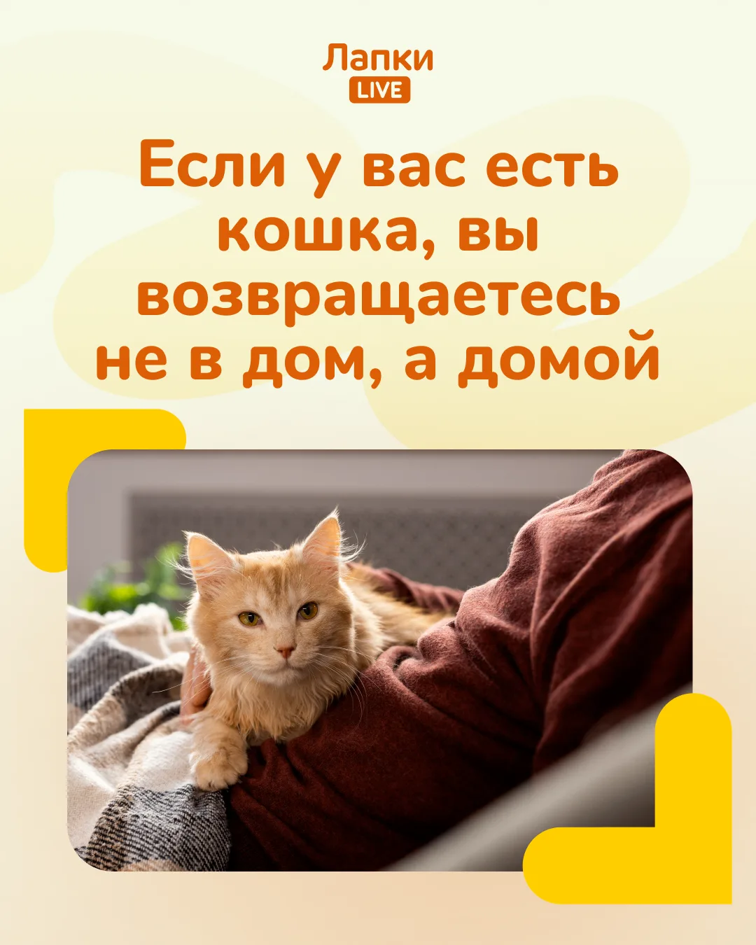 ✅ Цитата принадлежит Пэм Браун, австралийской писательнице.