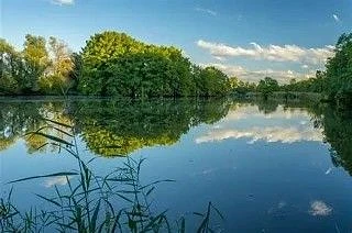 Спасти удалось лишь двоих: больше 10 человек утонули в водоемах Кузбасса с начала летне...