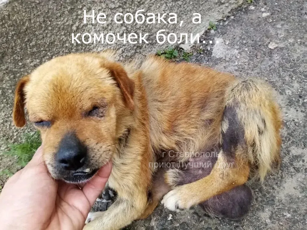 Вот нет у меня нормальных слов для таких постов.
Когда смотришь фото и документы поступивших в клини