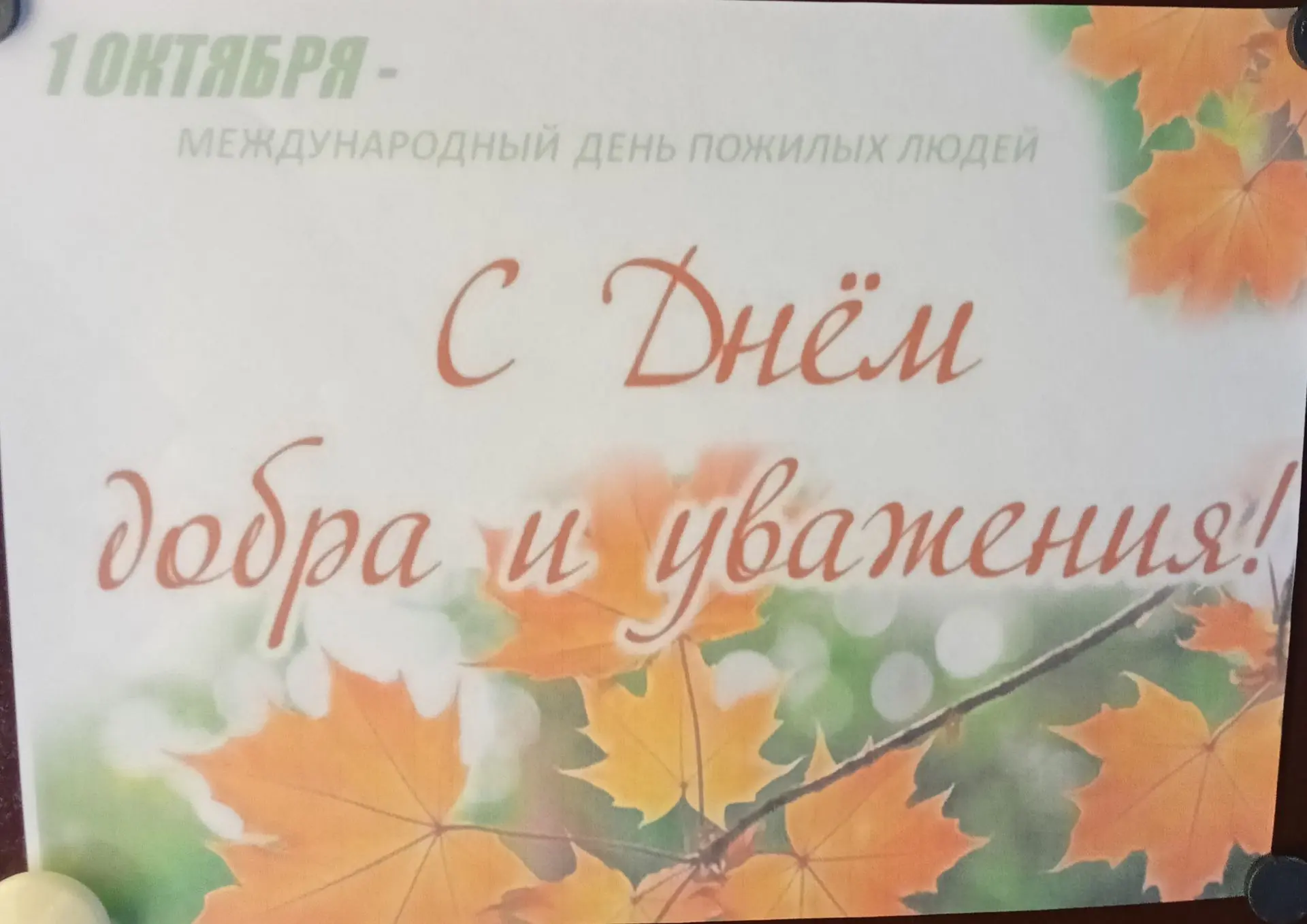 В День почтенного возраста, ребята старшей группы делают поздравительные открытки для с...