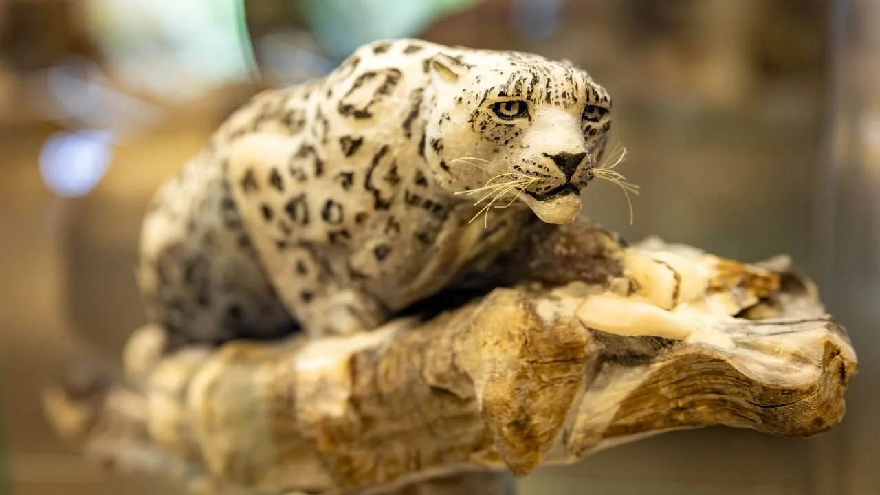 Косторезы со всей страны собрались в Салехарде