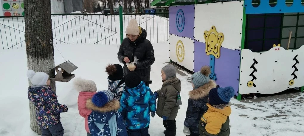 🐦Птицам холодно зимой,