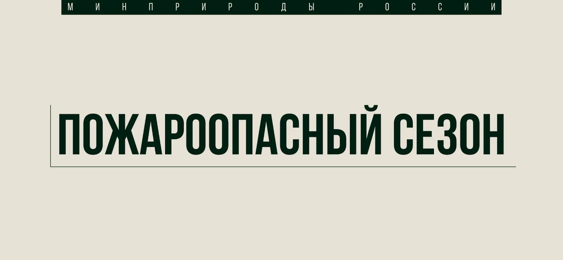 Лесных пожаров стало меньше