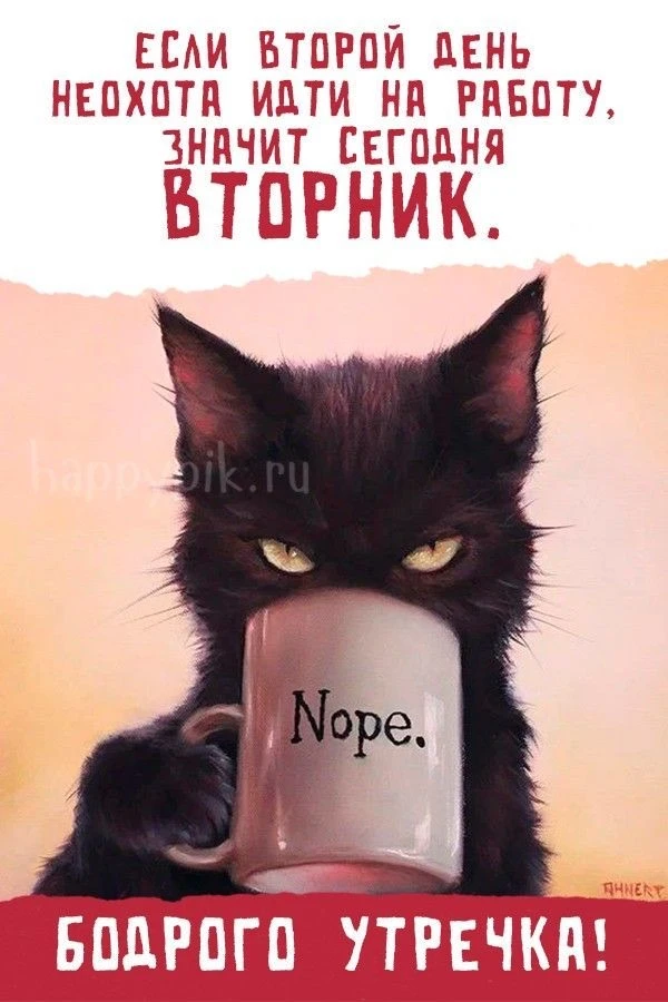 Рай открыток | Открытки 🥰