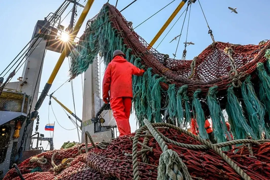 Оперативные данные: с начала года вылов превысил 2 млн тонн🐟