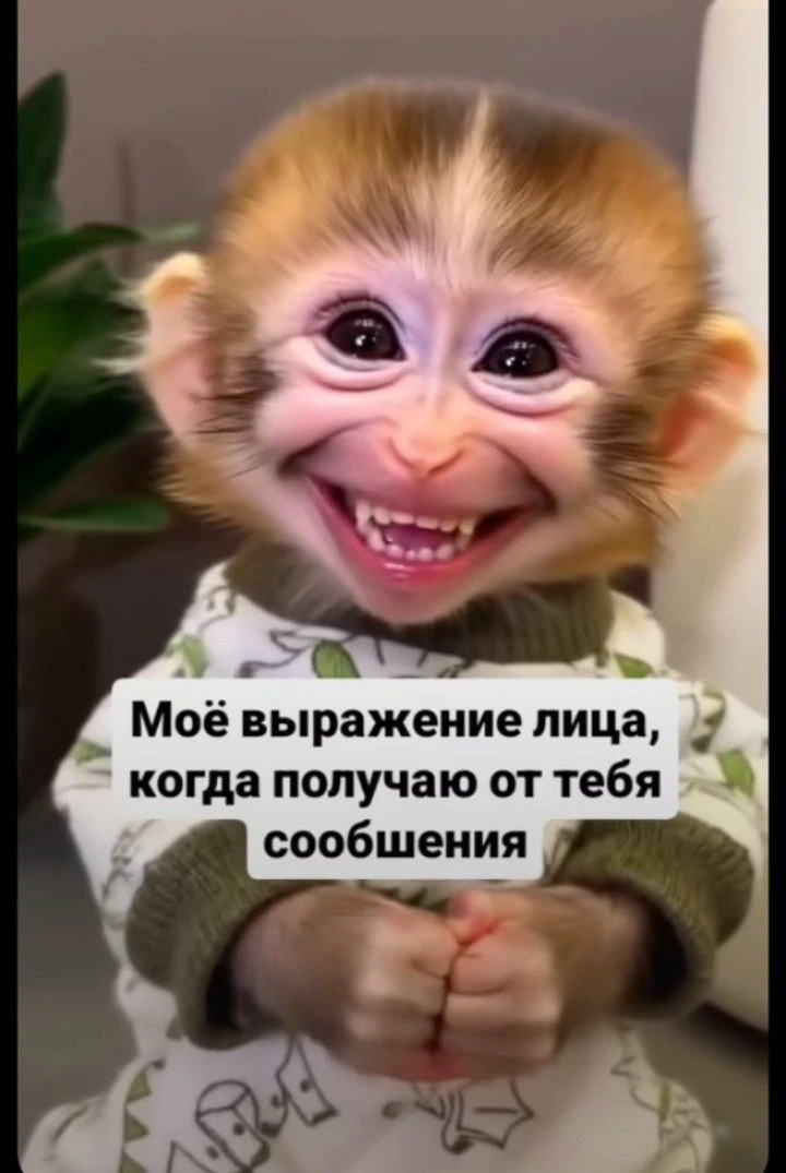 👉открытки👈