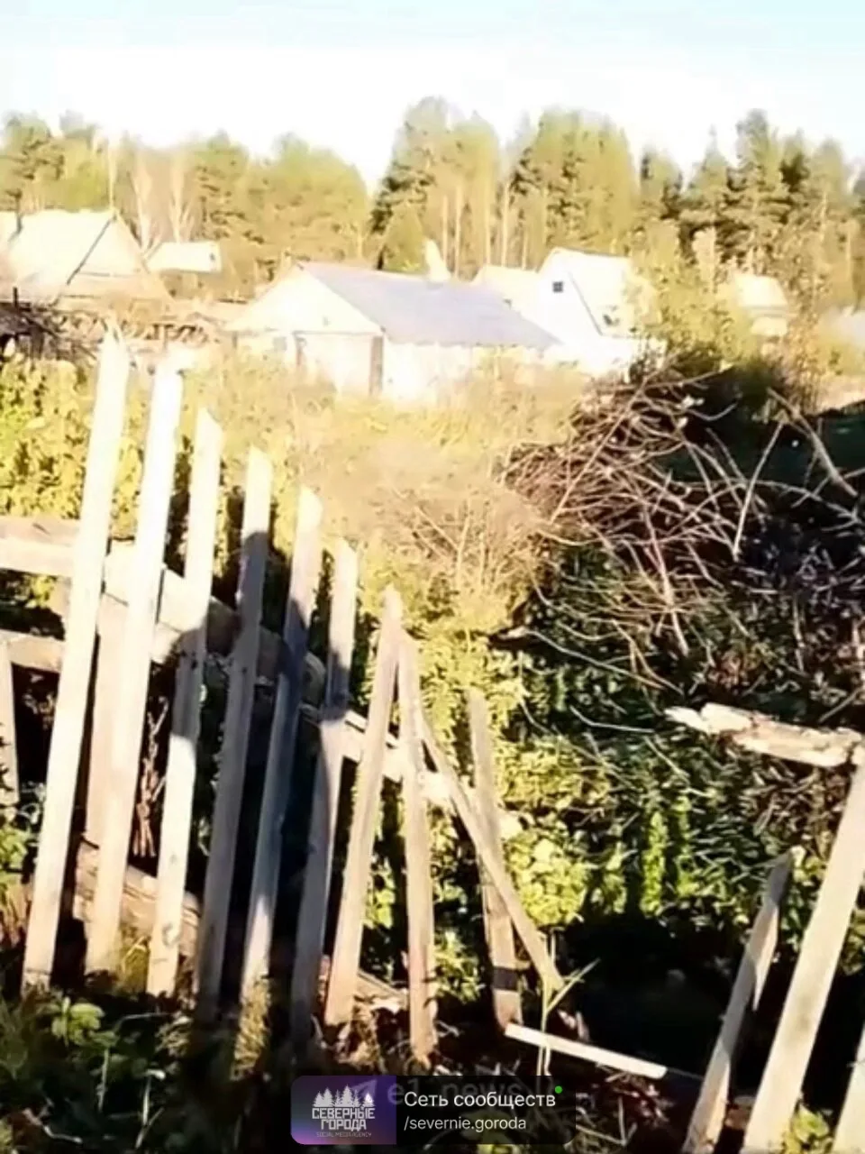 Медведь проник на черемуховские участки под Североуральском, повредив заборы.