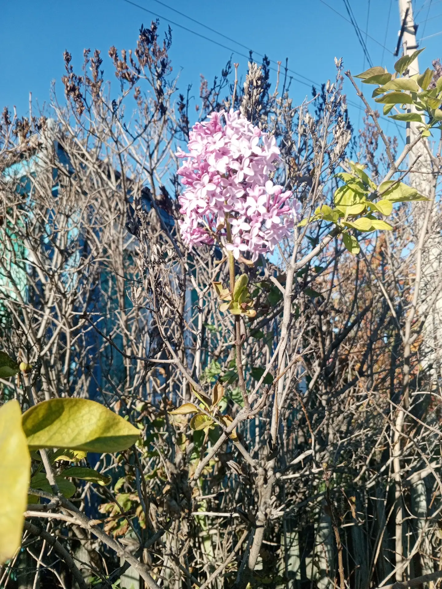 Доброе утро💖