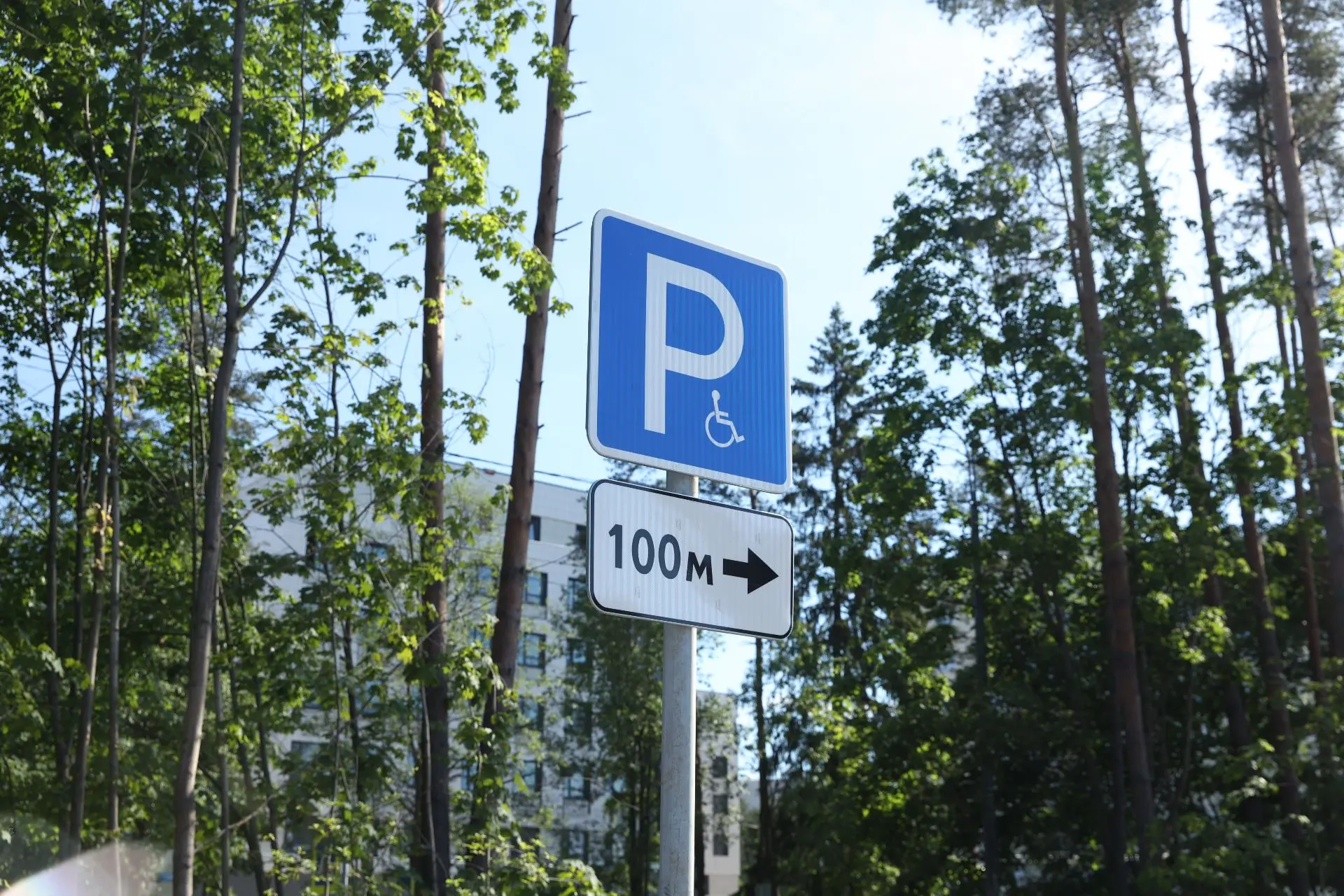 Автостоянка в Парголово создавалась с соблюдением всех норм доступности для маломобильн...