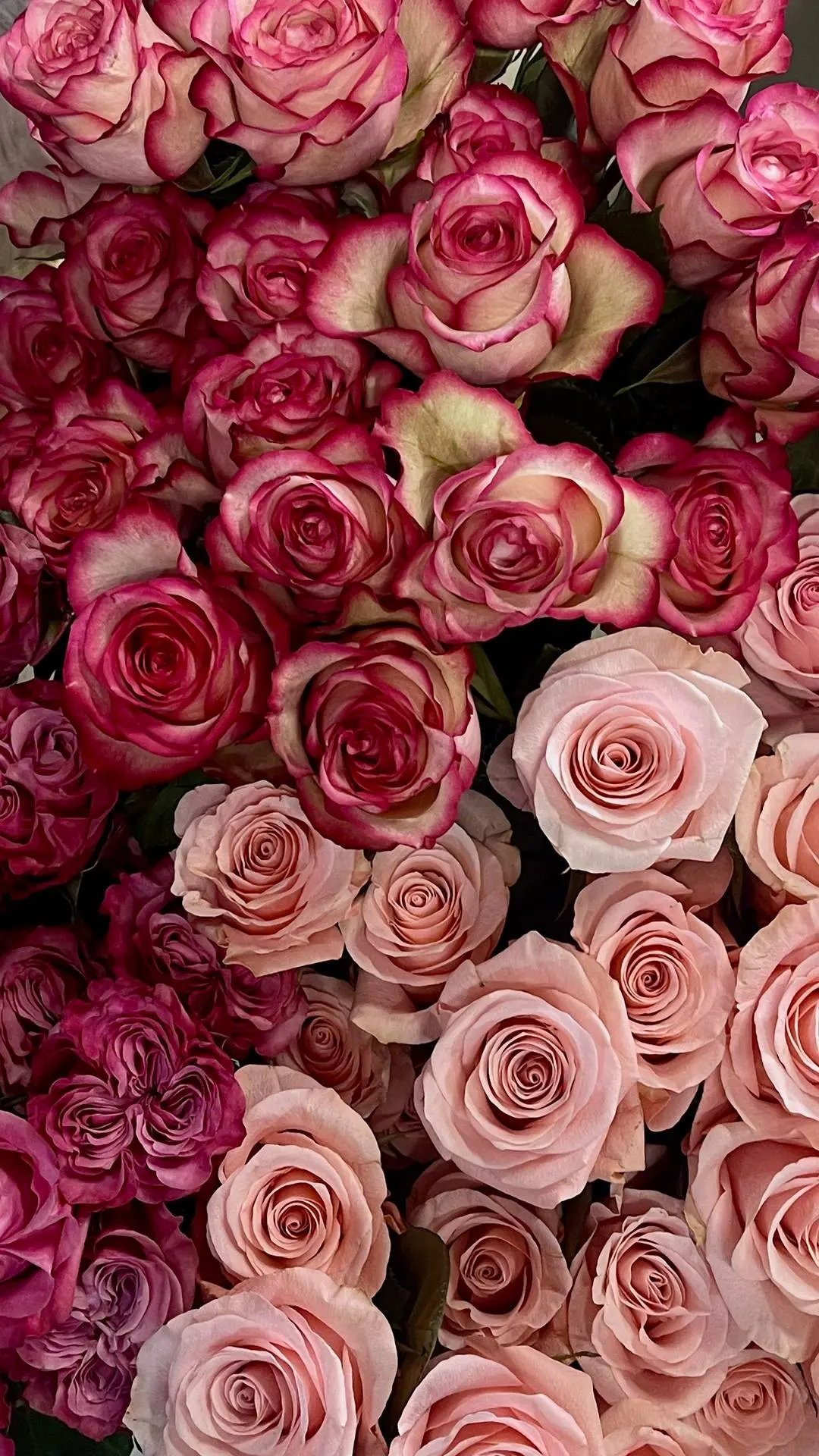 Свежая поставка роз в La Flora🥰