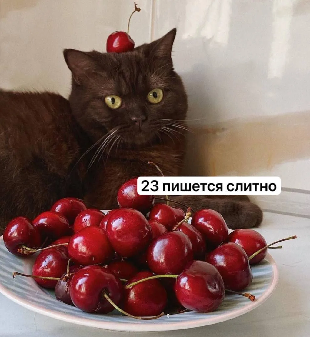 🍒 2–3 порции черешни (до 100 граммов каждая) в день — безопасная норма для взрослого при хорошей пе