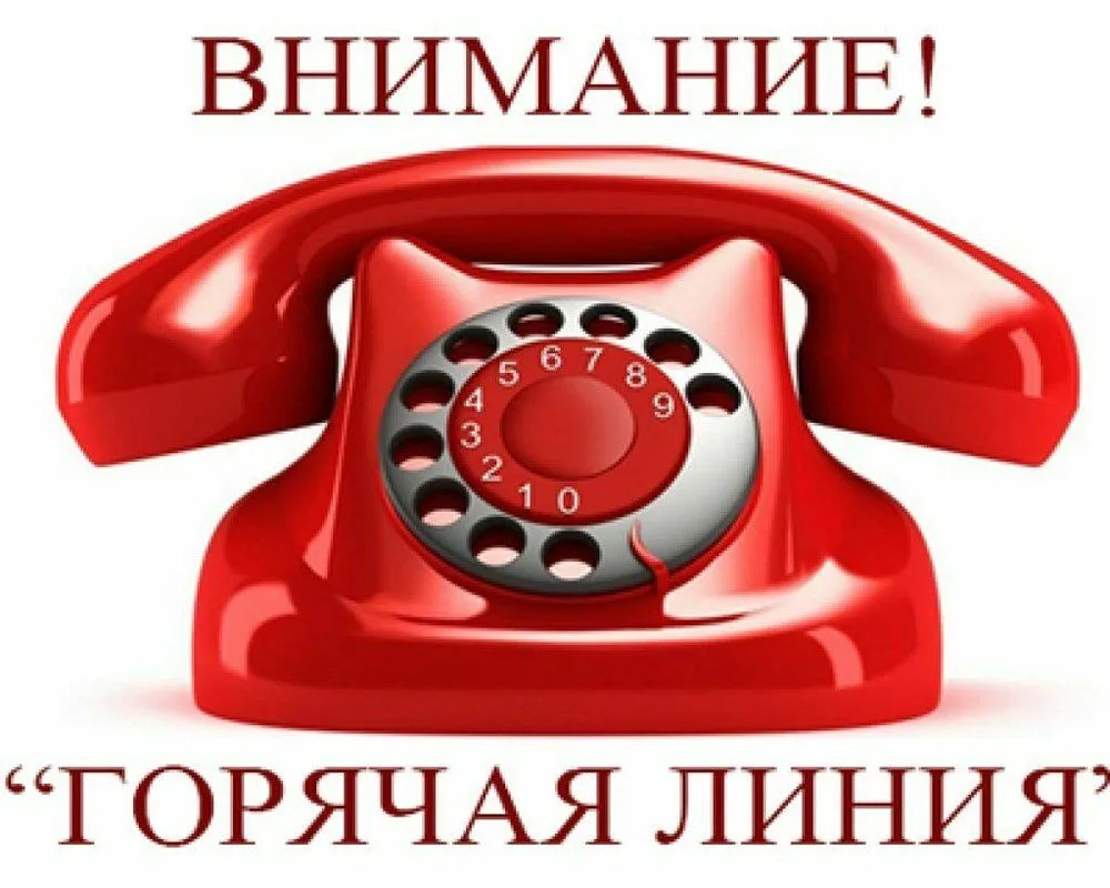 Телефон «доверия» и «горячей линии» для получения информации от населения Нижнесергинск...
