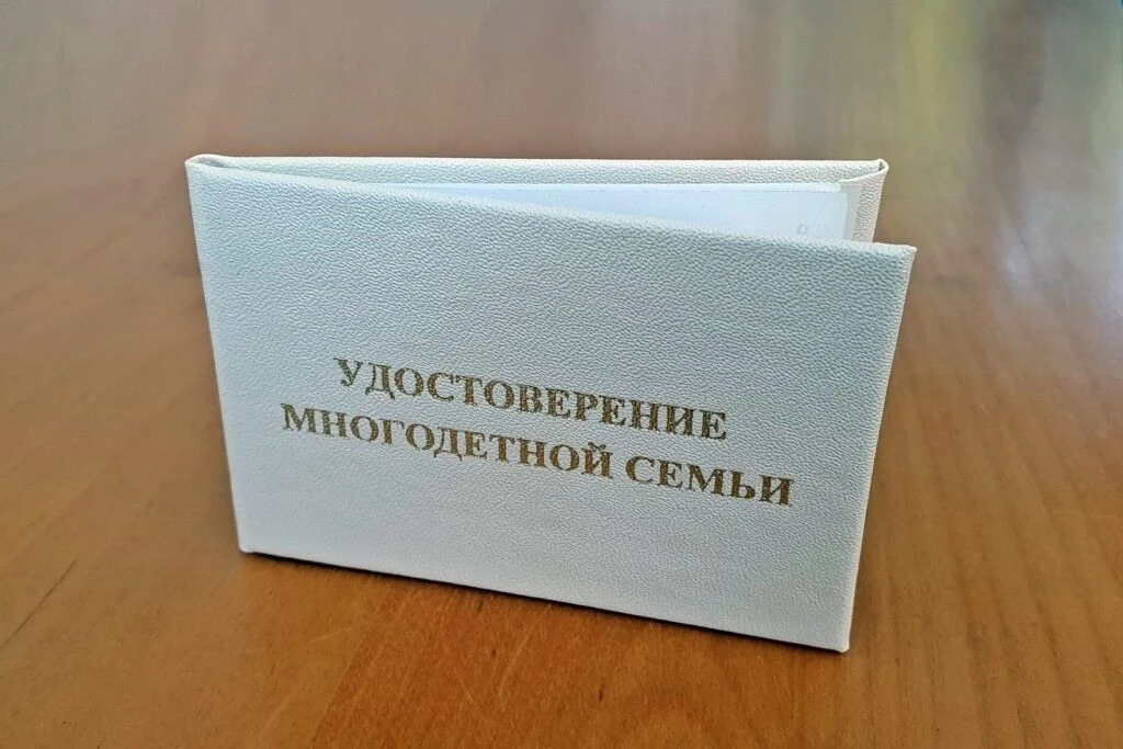 Многодетные семьи с детьми-студентами могут продлить удостоверение для получения льгот 📋