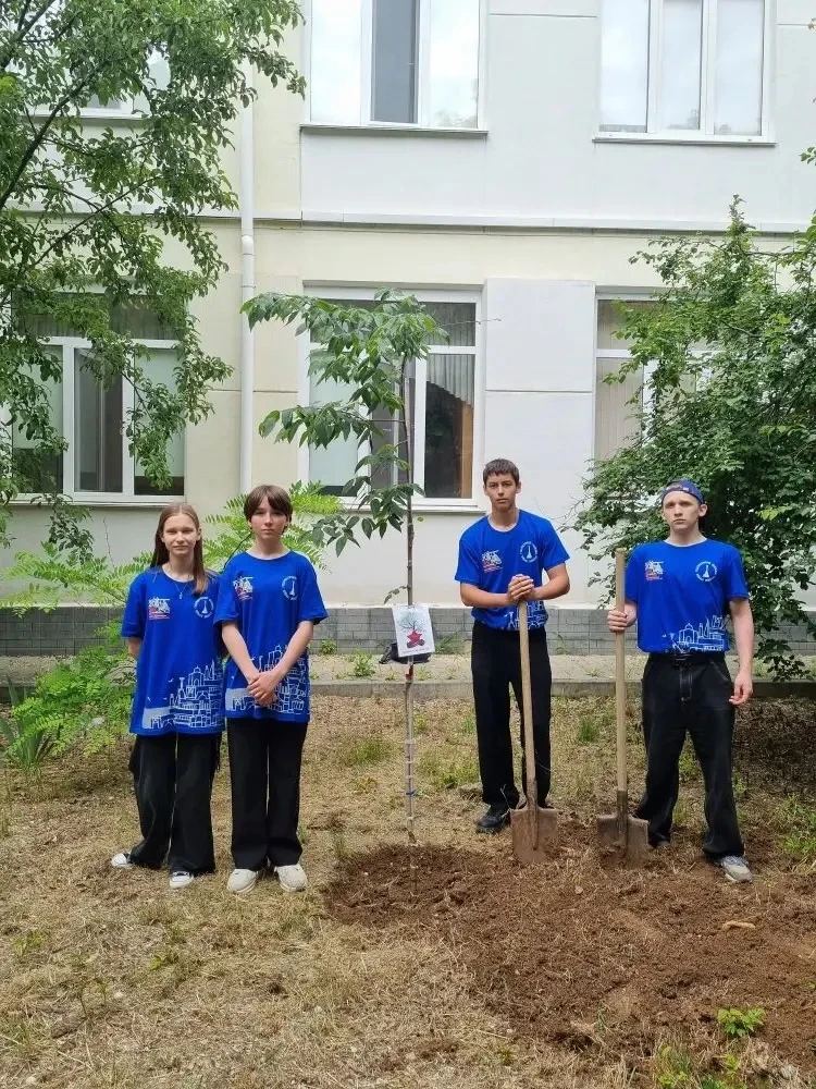 🌿 Ребята из трудовых отрядов приняли участие в акции «Дерево Победы»!