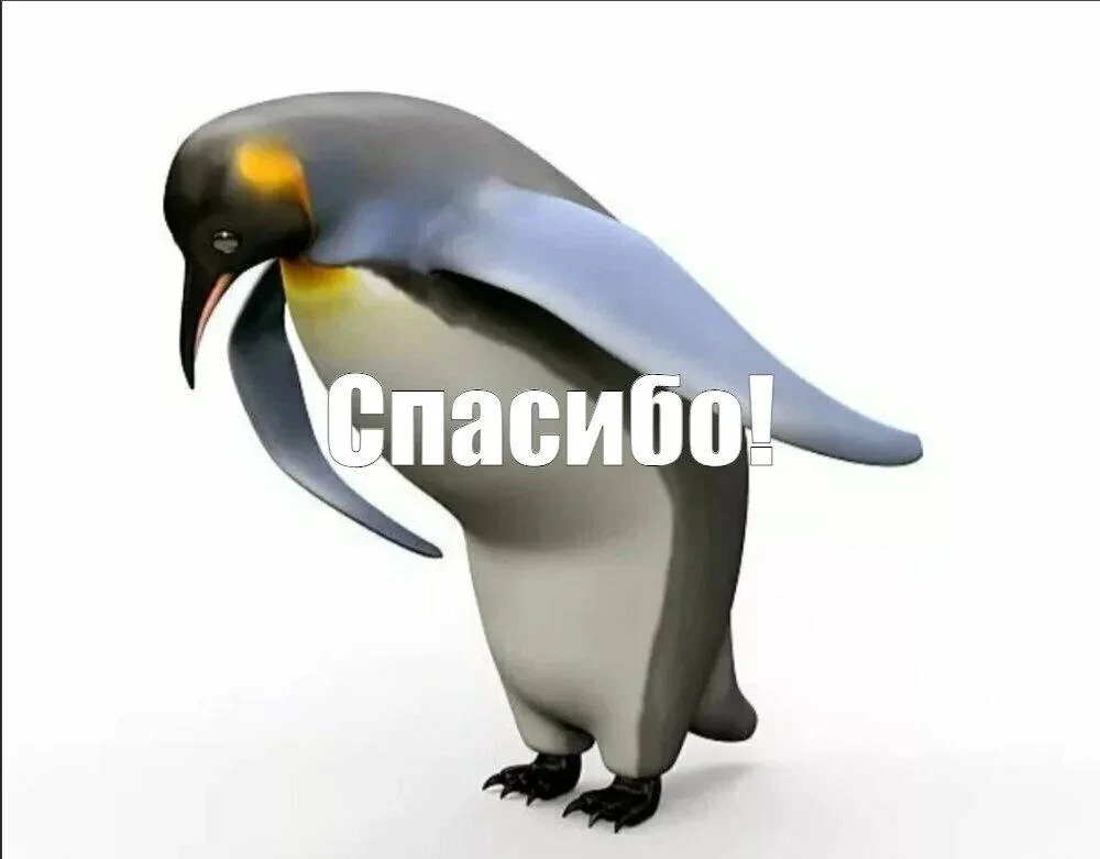 Россиян перестанут штрафовать за самостоятельный ремонт асфальта во дворах и местных до...