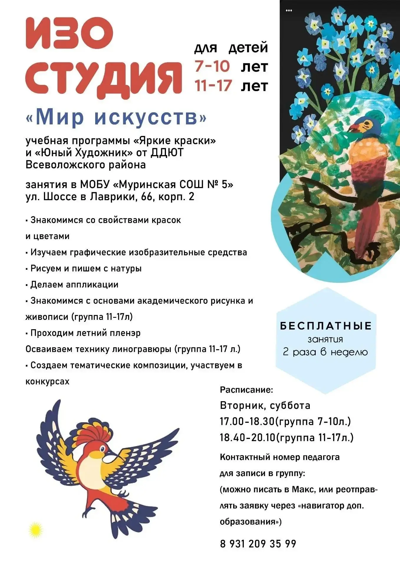 ИЗО СТУДИЯ