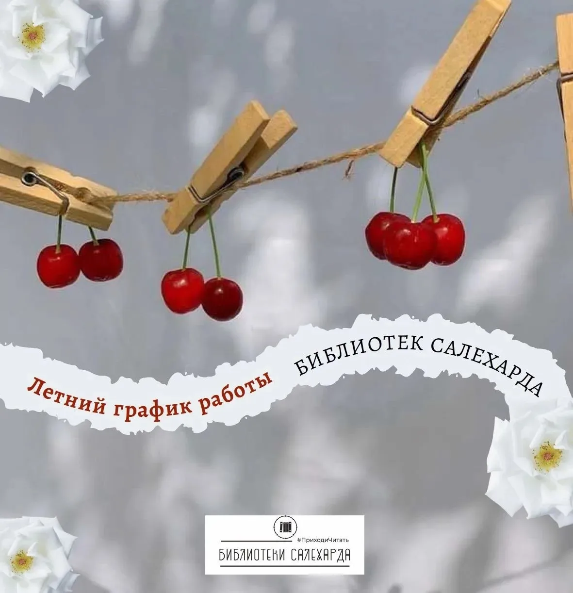 Дорогие читатели!