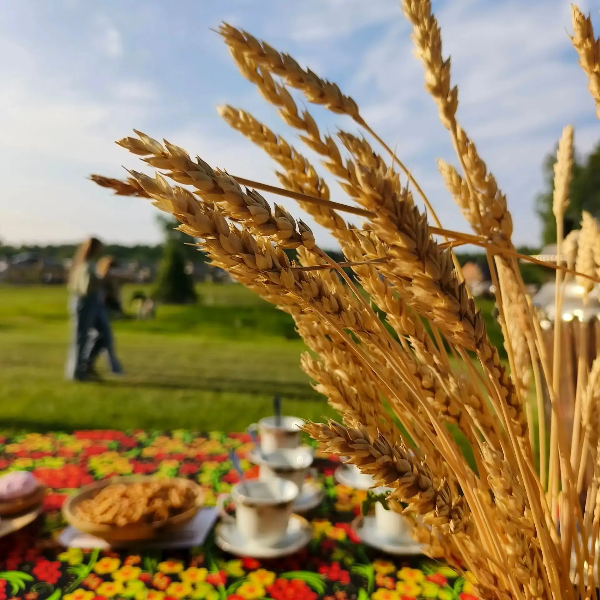 ☀️☀️☀️

23 июня в этнопарке «Янов хутор» прошёл межрегиональный фестиваль — Праздник Нового Солнца. 