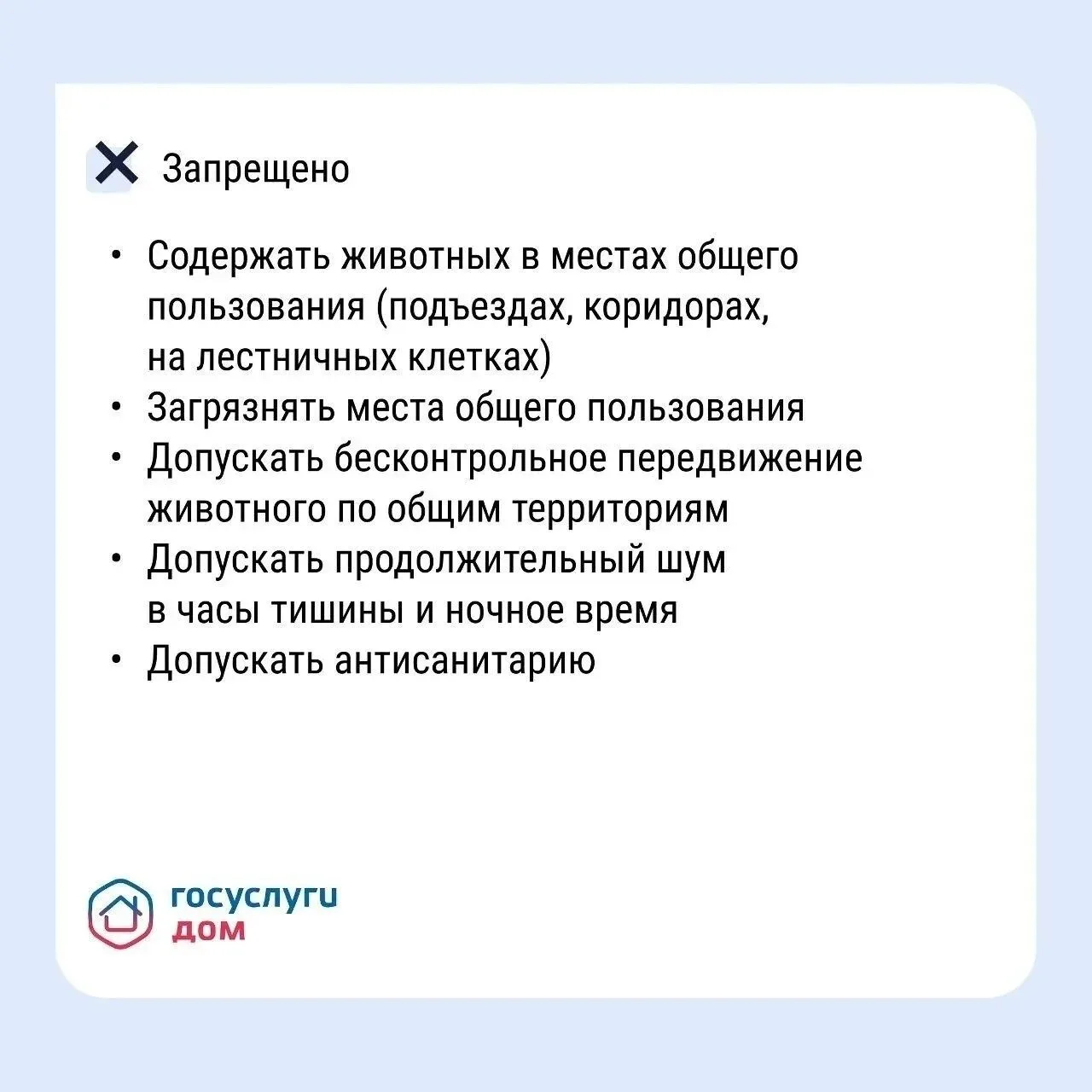 Как владельцам собак не ссориться с соседями из‑за уборки во дворе  С приходом тепла во дворах появл