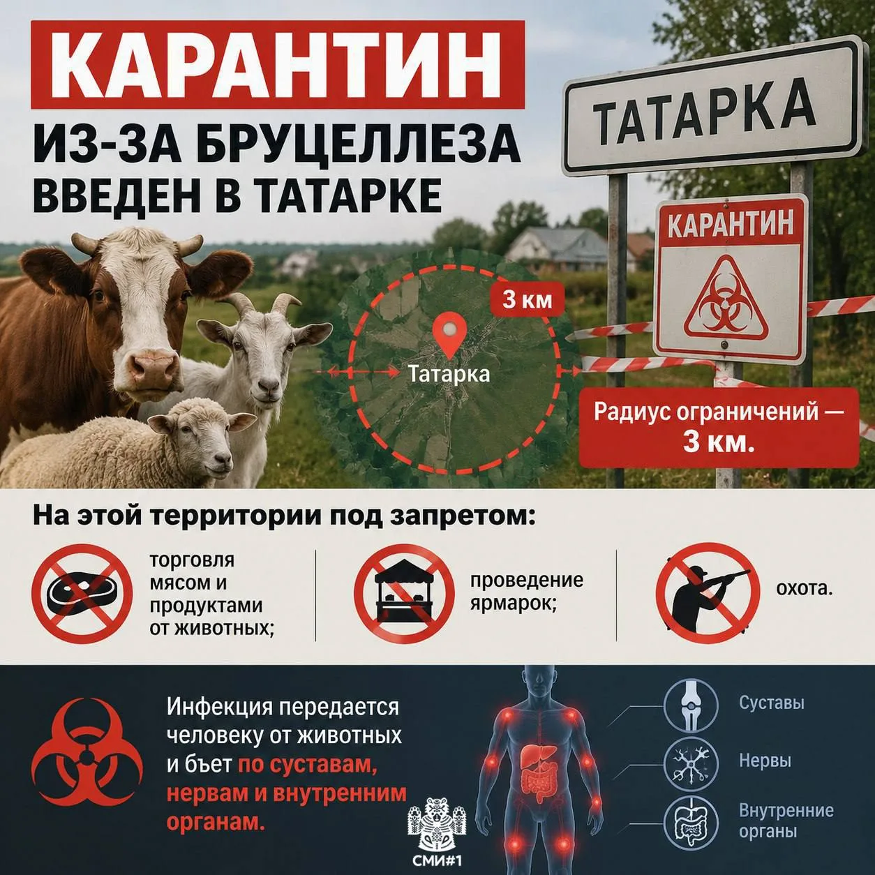 Карантин из-за бруцеллеза введен в Татарке