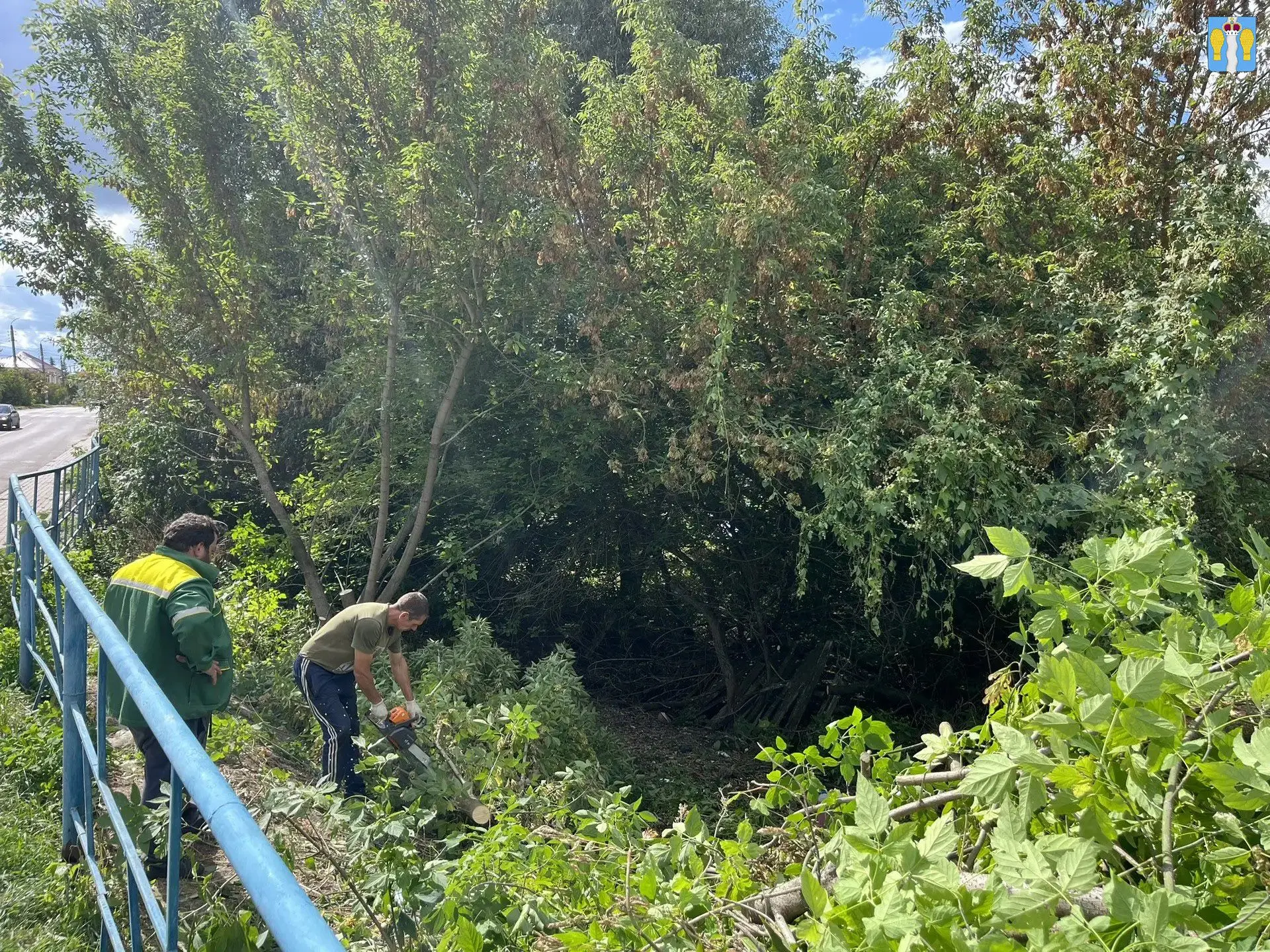 В Перемышле началась расчистка территории возле моста на улице Ленина 🌿