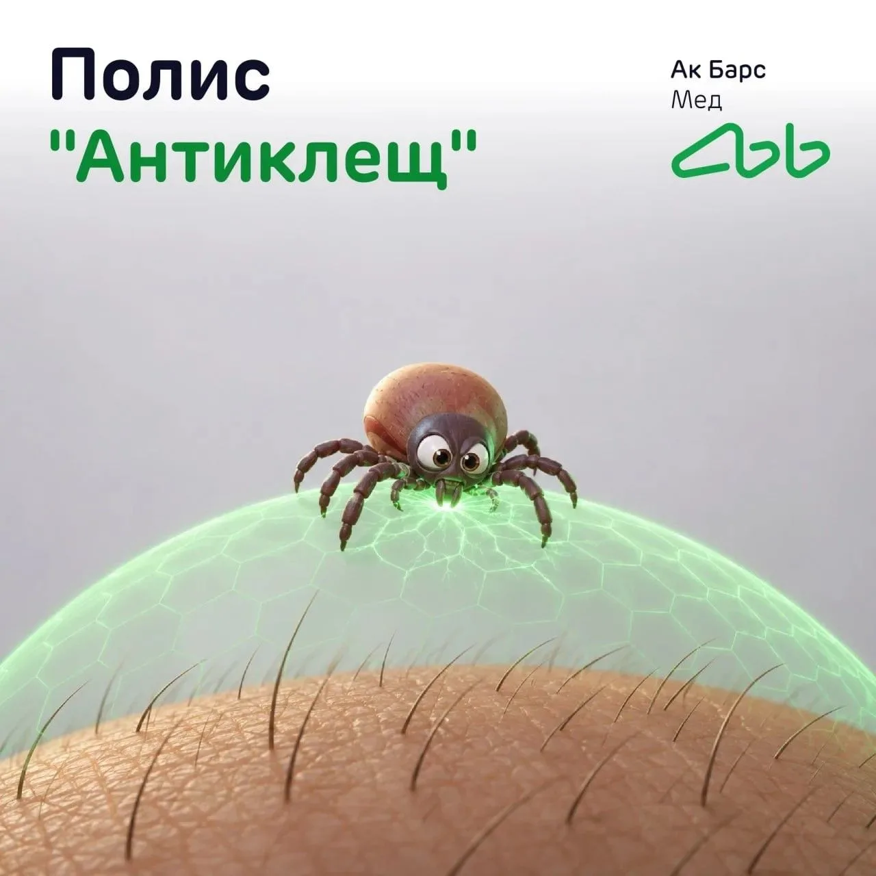 Сезон клещей в самом разгаре: будьте бдительны! 🌿

Цифры говорят сами за себя: с начала сезона в ме