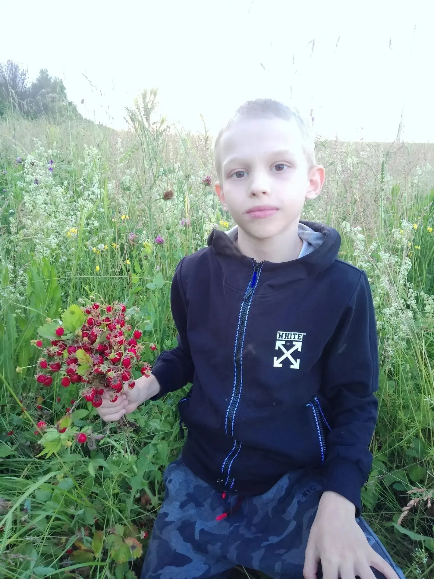 Теплов Иван, ученик 4б класса, вместе с семьёй собирал луговую ягоду. Этот день запомни...