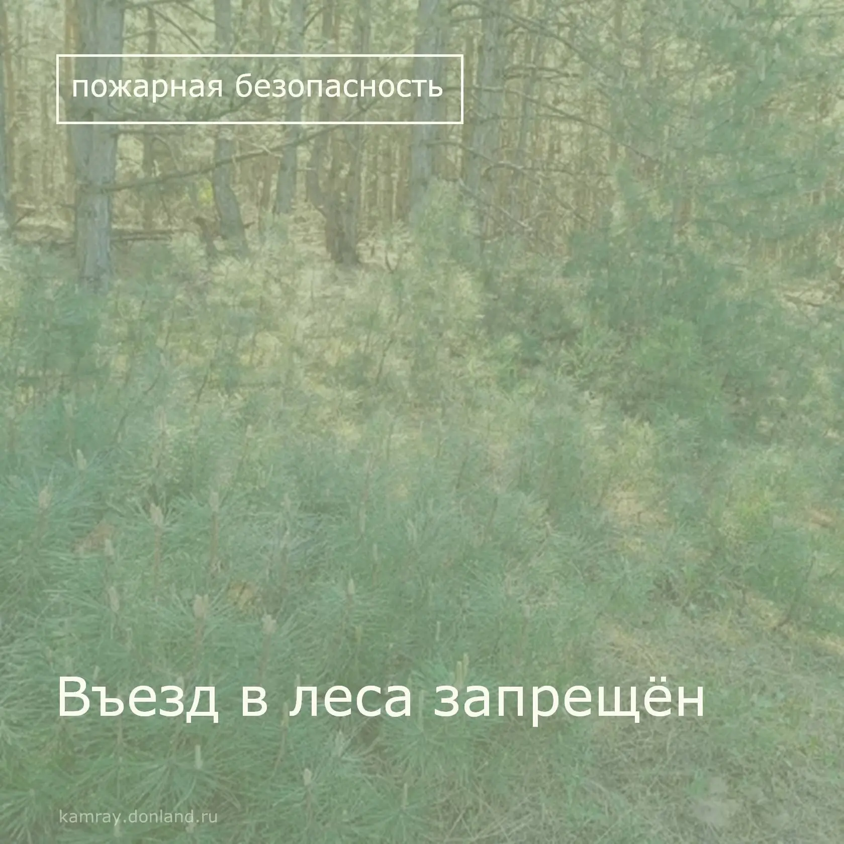 В Ростовской области продлили ограничение на пребывание граждан в лесах. Соответствующе...