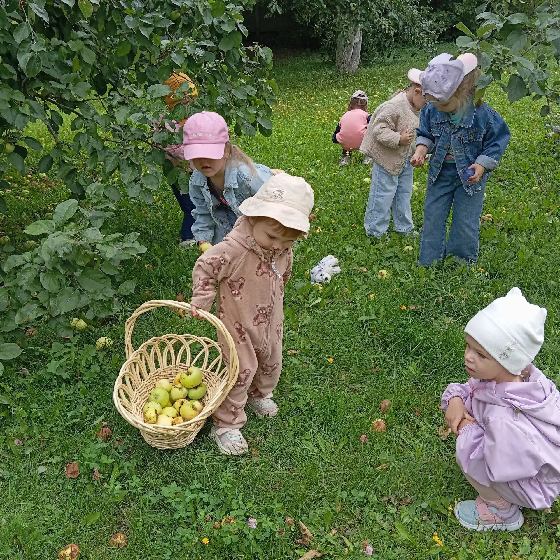 🍏 Яблочный переполох в 3-м корпусе! 🍏