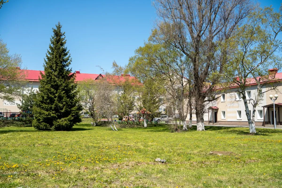 🌳 Коллектив детской областной больницы присоединился к озеленению Южно-Сахалинска  На территории мед