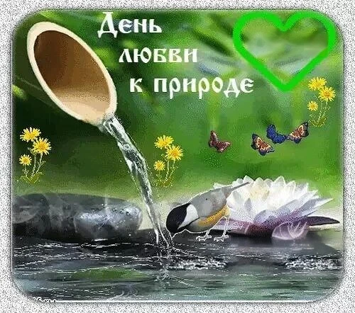 ЦРР детский сад 151