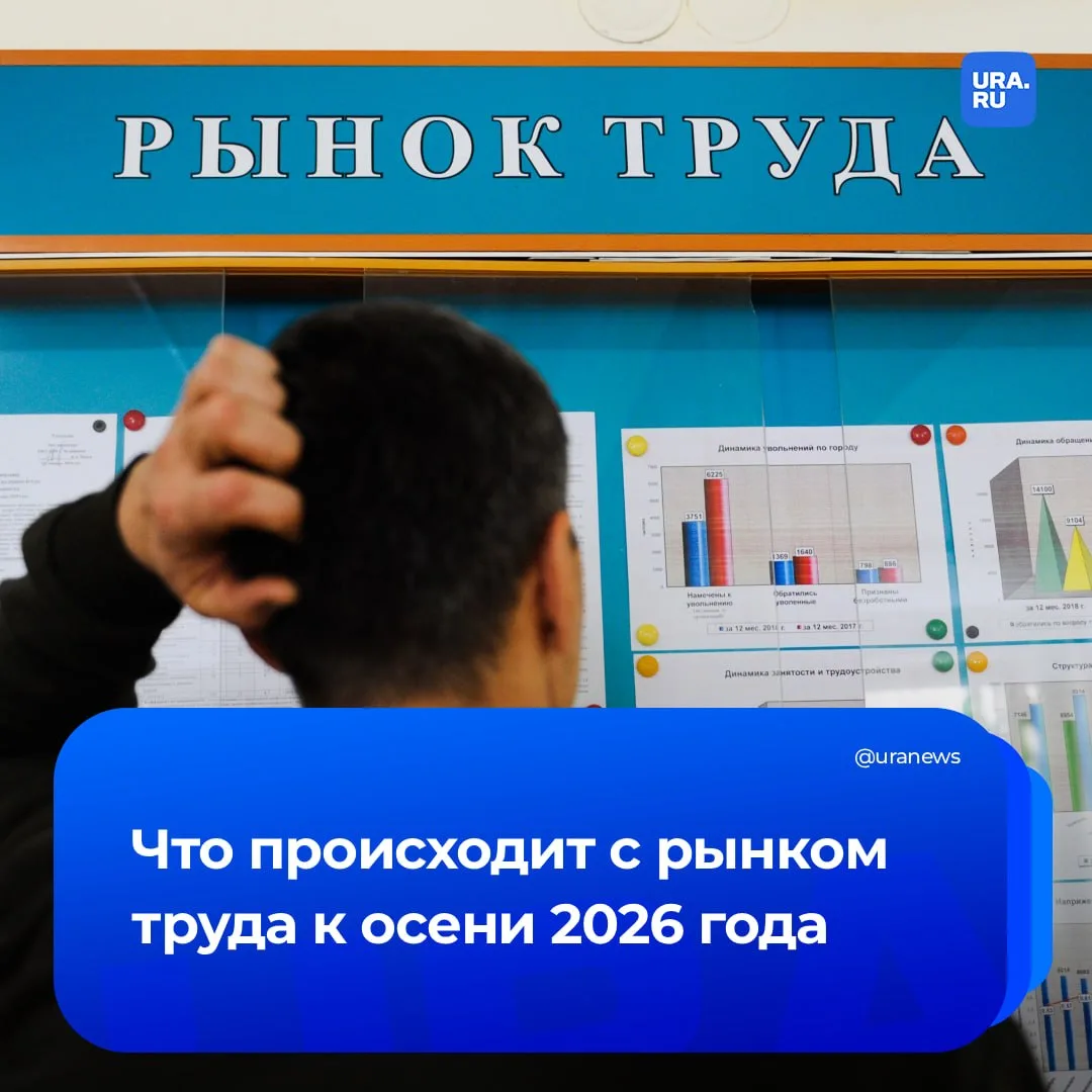 В России увеличилось число вакансий в автобизнесе и образовании