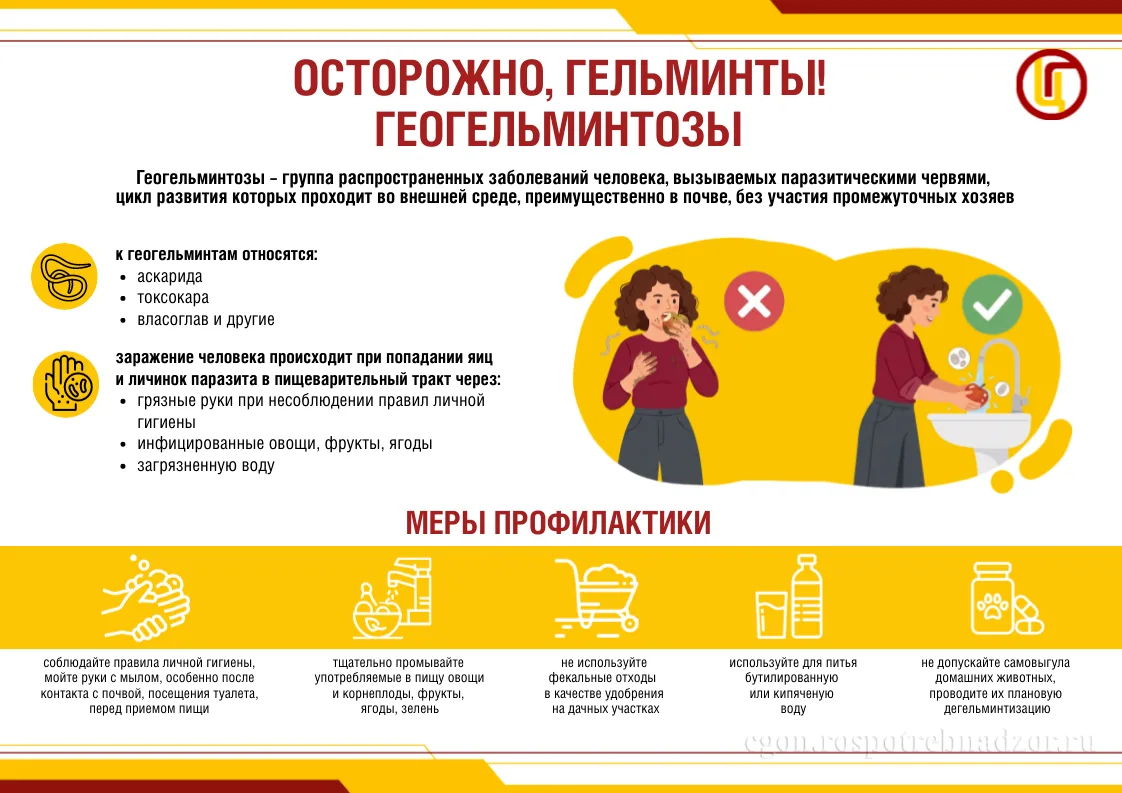 📍О профилактике геогельминтозов #санпросвет