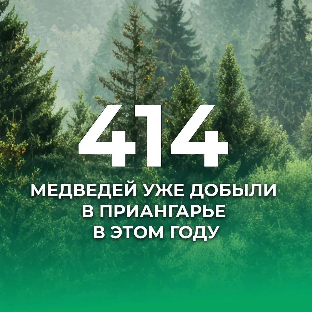 В Иркутской области продолжается регулирование численности медведей. За прошедшие сутки...